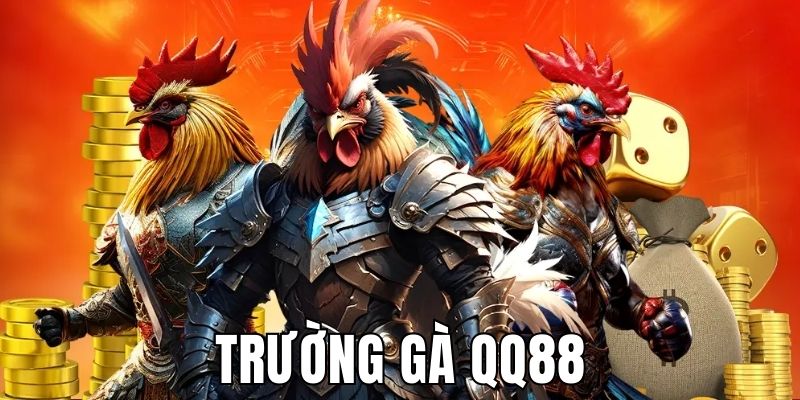 Trường Gà QQ88 Trực Tiếp Hôm Nay, Sân Chơi Gay Cấn 2025